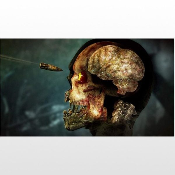 دیسک بازی Zombie Army Trilogy – کارکرده برای PS4 ریجن 2