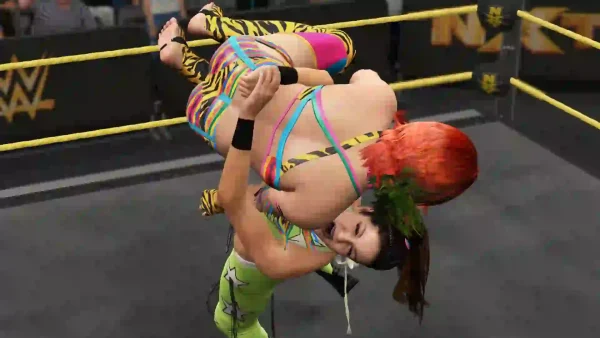 خرید بازی کار کرده WWE 2K17 بدون قاب ؛ هیجان کشتی کج 